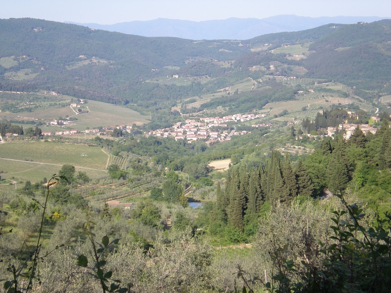 Back to Greve223.JPG